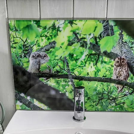 Tatil Evi Letaway - Tawny Owl Hut Nr Castleton North Yorkshire Westerdale